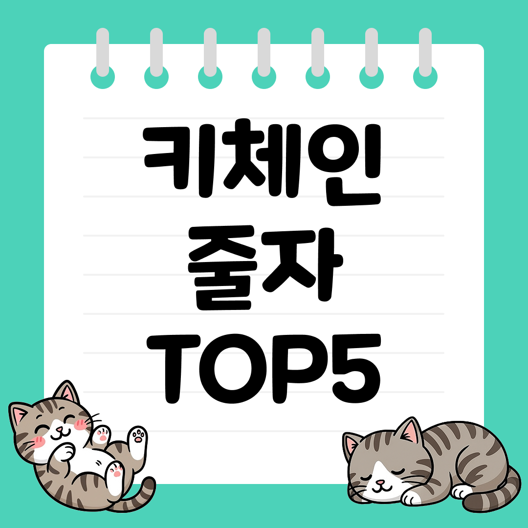 2025년 10월 2주차&nbsp;키체인 줄자 추천 순위 TOP5
