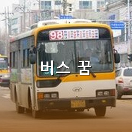 노란색-98번-버스가-교통신호를-지키며-안전하게-운행하는-모습
