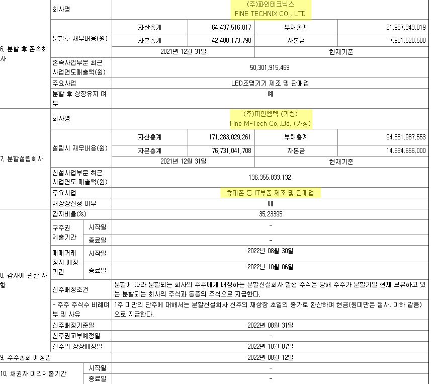 파인테크닉스 인적분할 공시