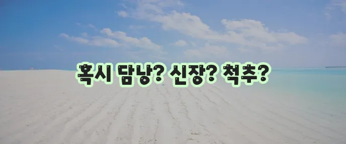 오른쪽 등 통증 원인이 궁금하지 않으세요?