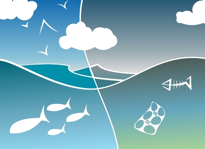 환경 복원과 자연의 재발견: 도시와 자연이 공존하는 녹색 혁명의 미래