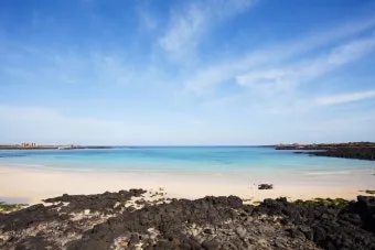 제주 우도 섬일주 여행 스쿠터 자전거로 알차게 즐기기_19