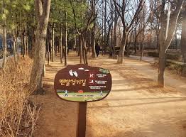 맨발걷기 운동
