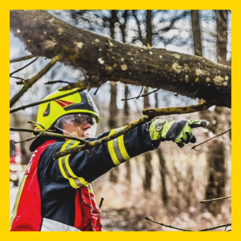 특별재난지역-선포-기준-혜택-선포지역