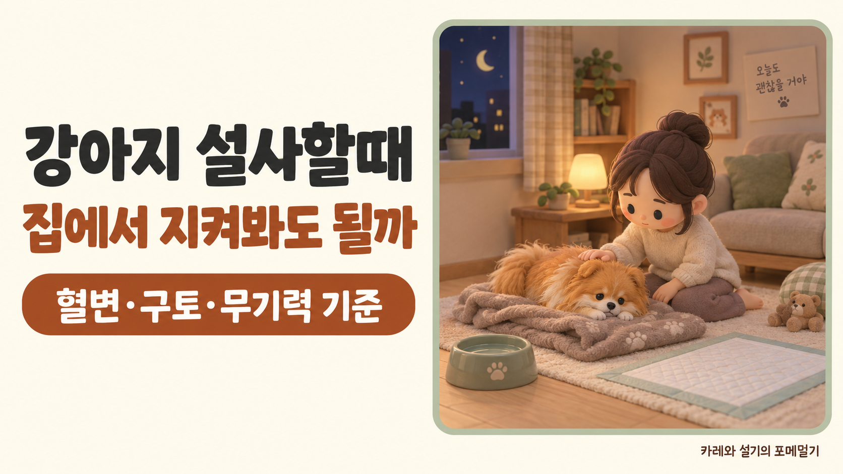 강아지 설사할때 대표
