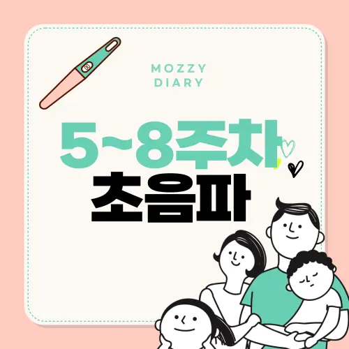 5~8주차 아기 모습이 궁금하다면? 주차별 초음파 정보 한눈에 보기