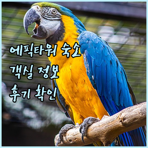 스튜디오 시티 에픽 타워.. 객실 정