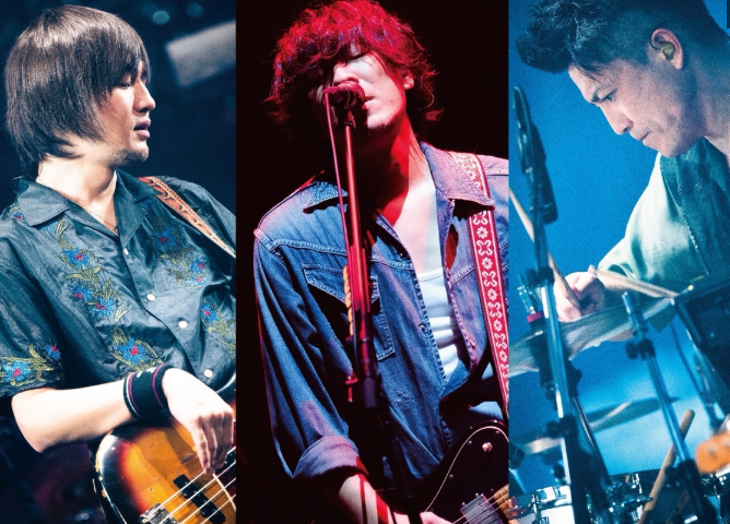 2026 백넘버 내한공연 (첫 내한, 티켓팅, 킨텍스)