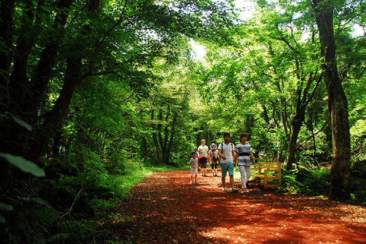 제주 에코랜드 테마파크