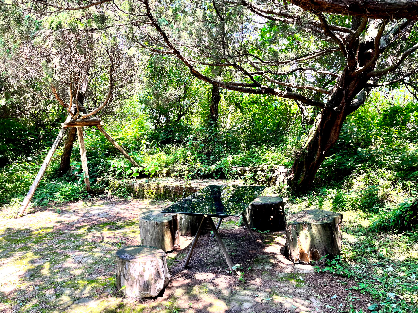 특색있고 아름다운 민간 정원 30선 추천 여행 - 30. 구례 천개의 향나무숲 정원