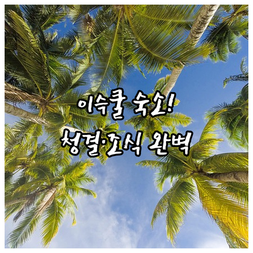 촐폰아타 이스쿨 호수 근처 인기 숙소..