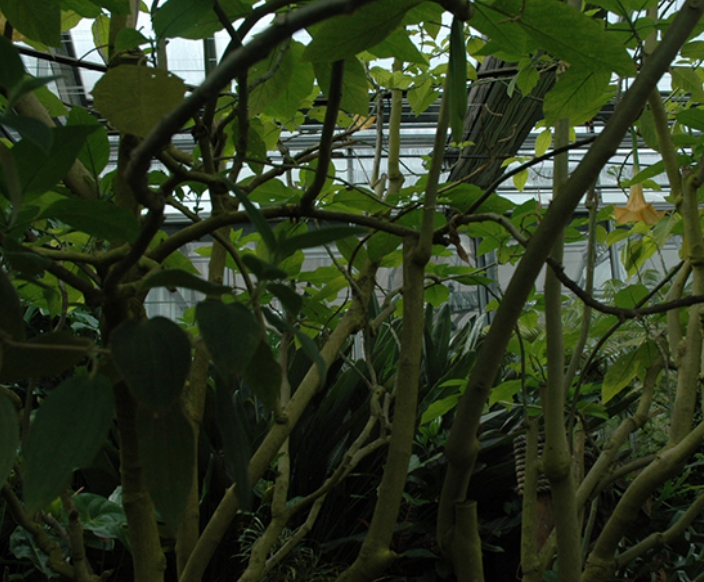 가을여행/가족여행지/추천/전북/대아수목원