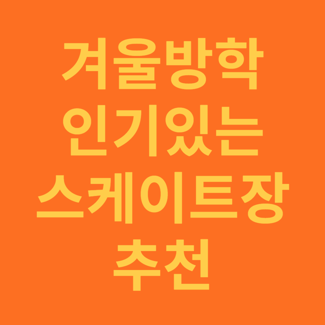 겨울방학 인기있는 스케이트장 추천