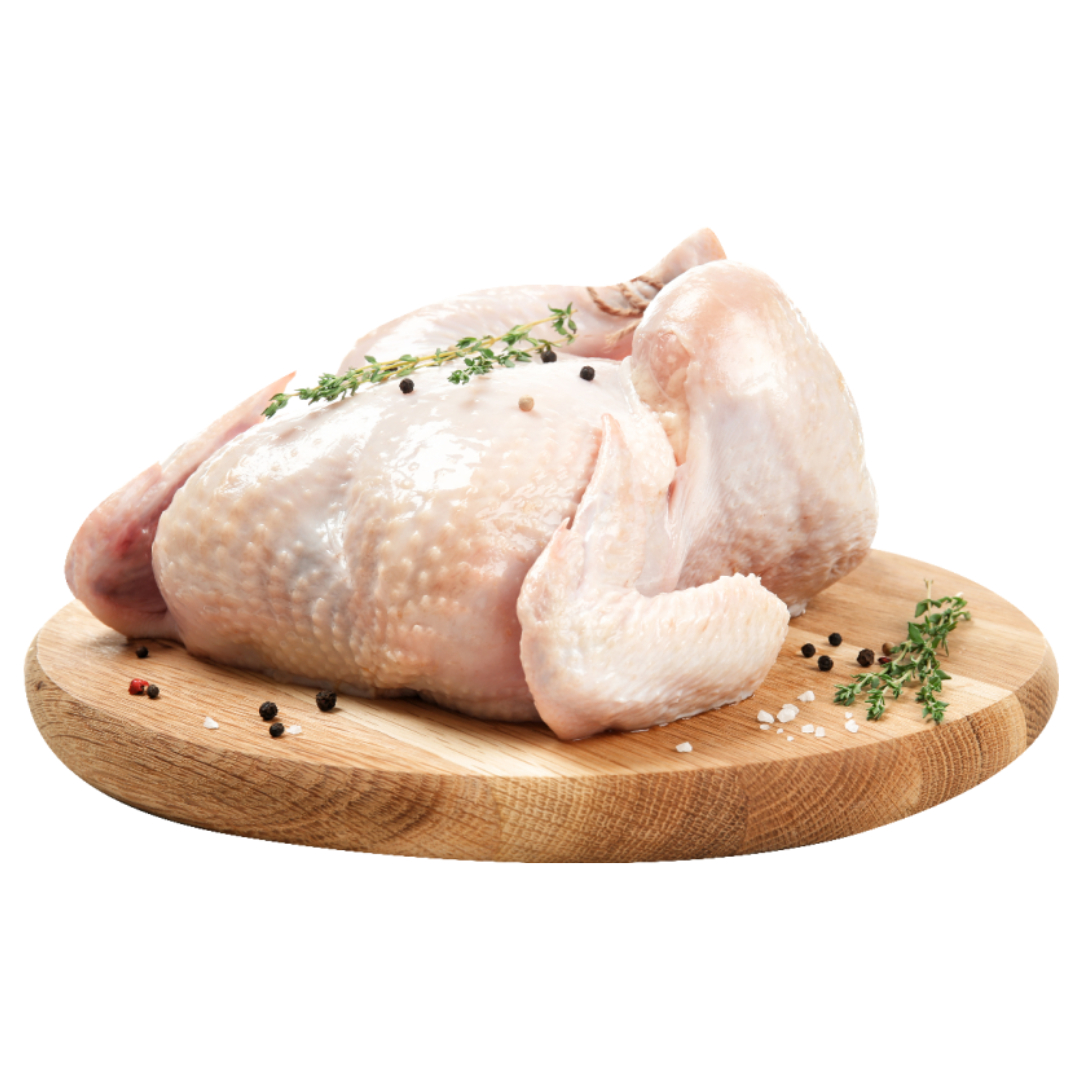 용종과 관련된 사진입니다.