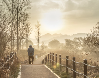 기초연금과 노령연금 차이