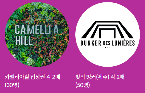 제주항공특가 찜특가 87% 할인 할인코드 이벤트