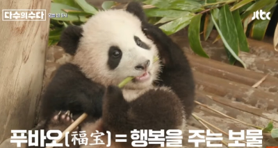 푸바오