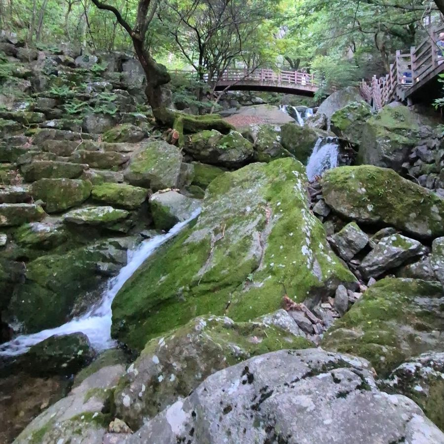 금오산