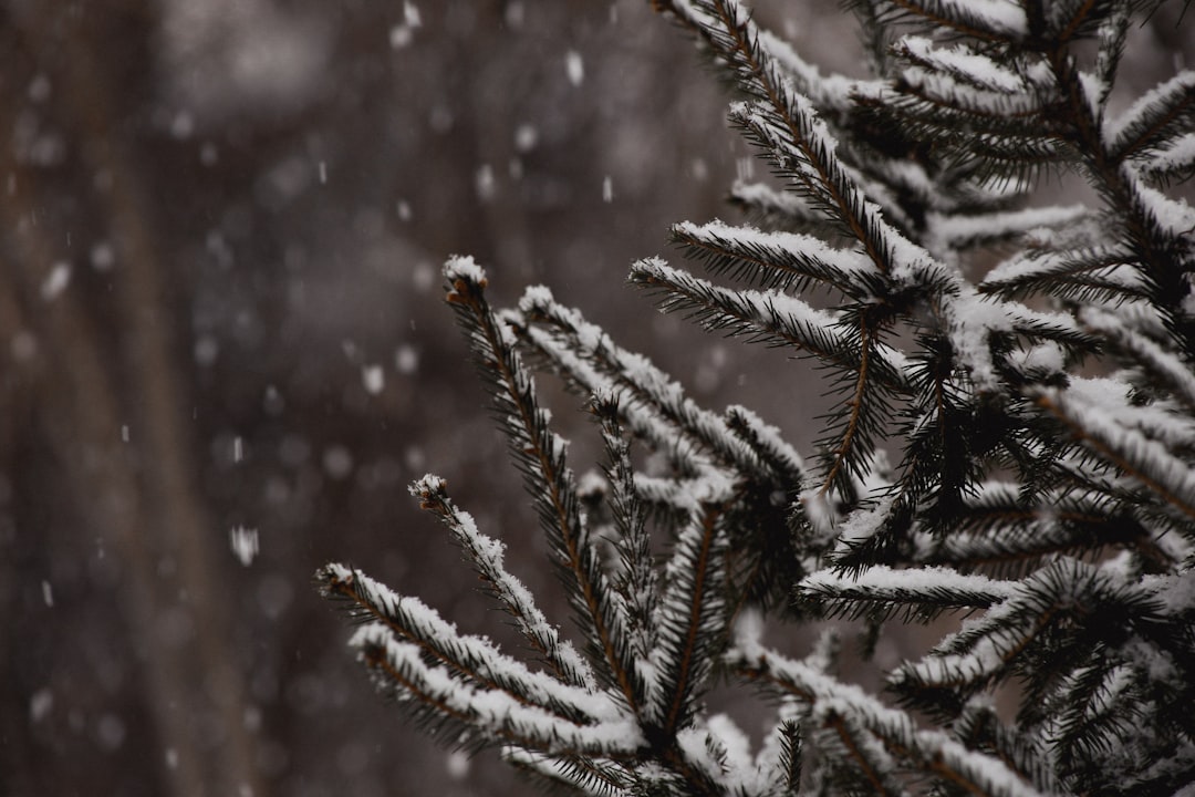 Cold