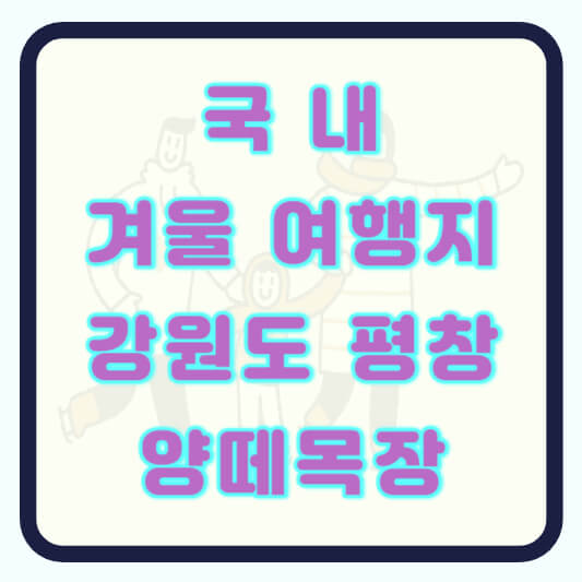 국내 겨울 여행지 추천