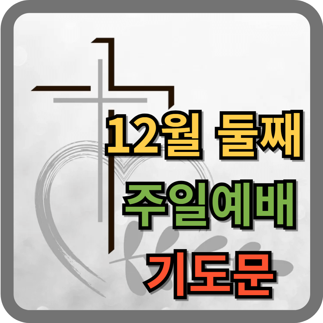 12월 둘째주일 대표기도문