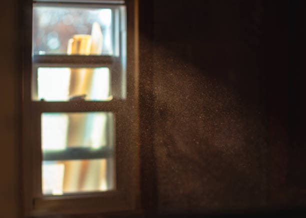 로봇청소기의 먼지 수집 한계와 효율적으로 사용하는 방법