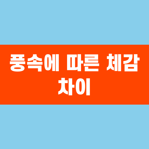 풍속에 따른 체감 차이