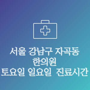 서울 강남구 자곡동 한의원 주말 토요일 일요일 문여는 병원 진료시간