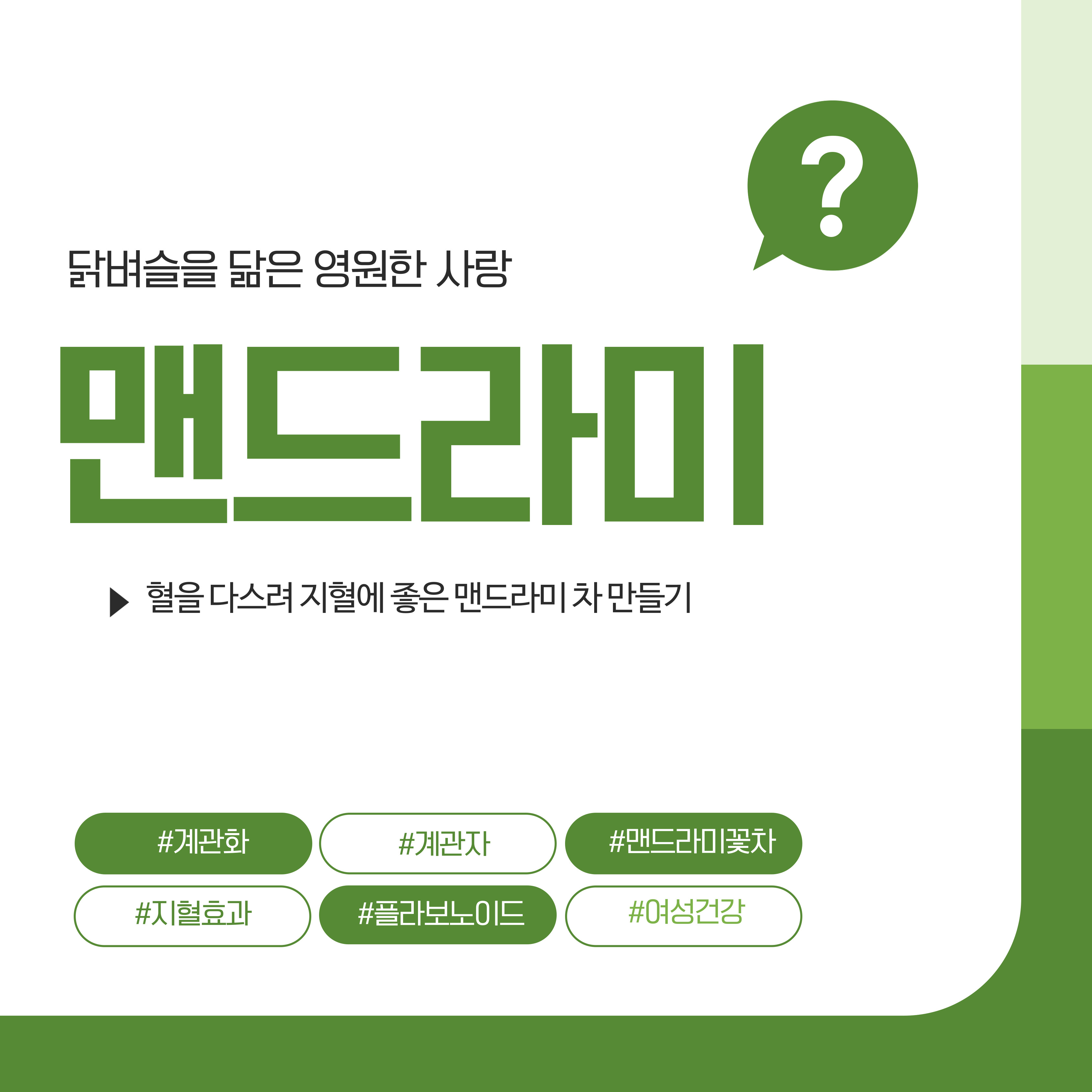 맨드라미, 맨드라미 꽃차