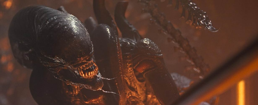 에어리언 로물루스 스틸컷