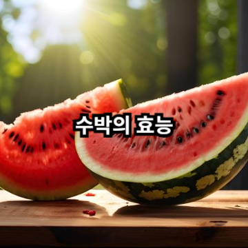 수박의 효능