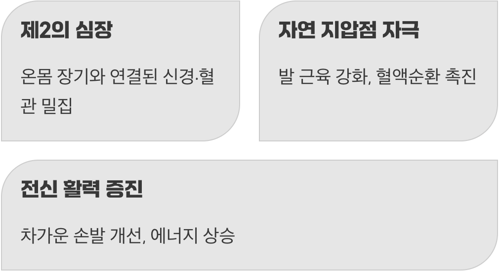 찌릿찌릿, 발바닥 지압의 놀라운 힘