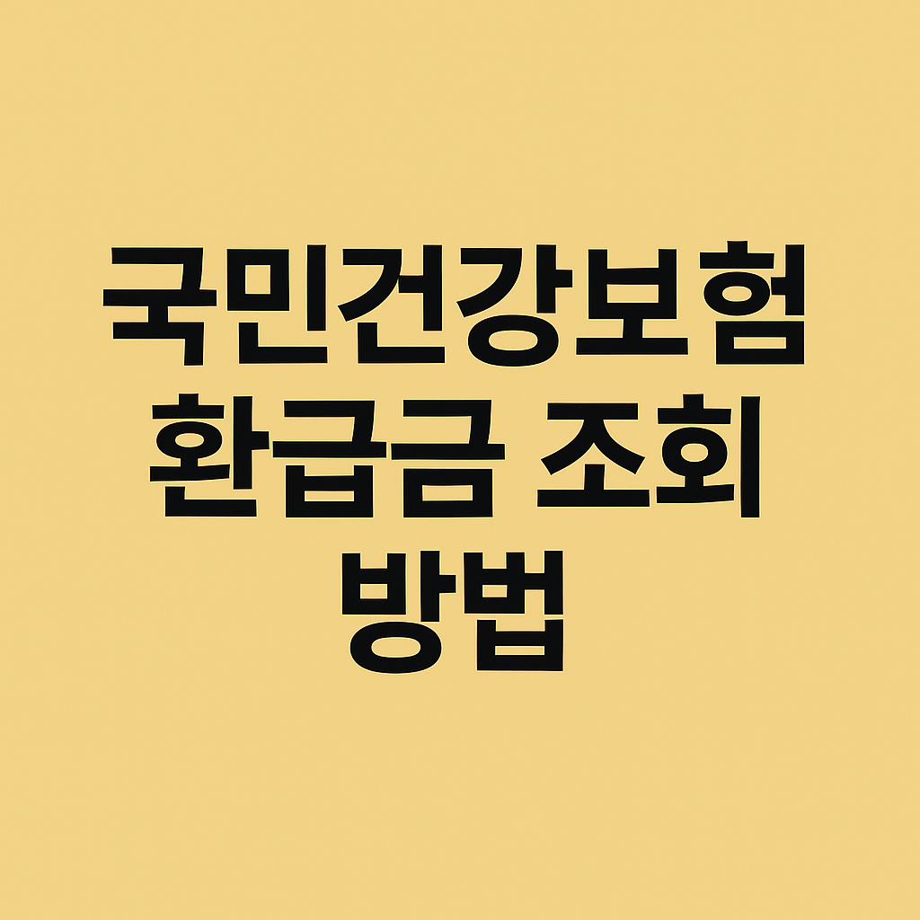 건강보험 환급금 조회