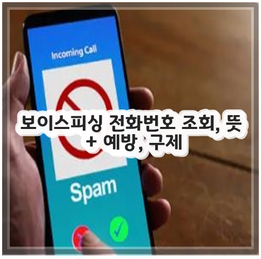 보이스피싱 전화번호 조회, 뜻 + 예방, 구제