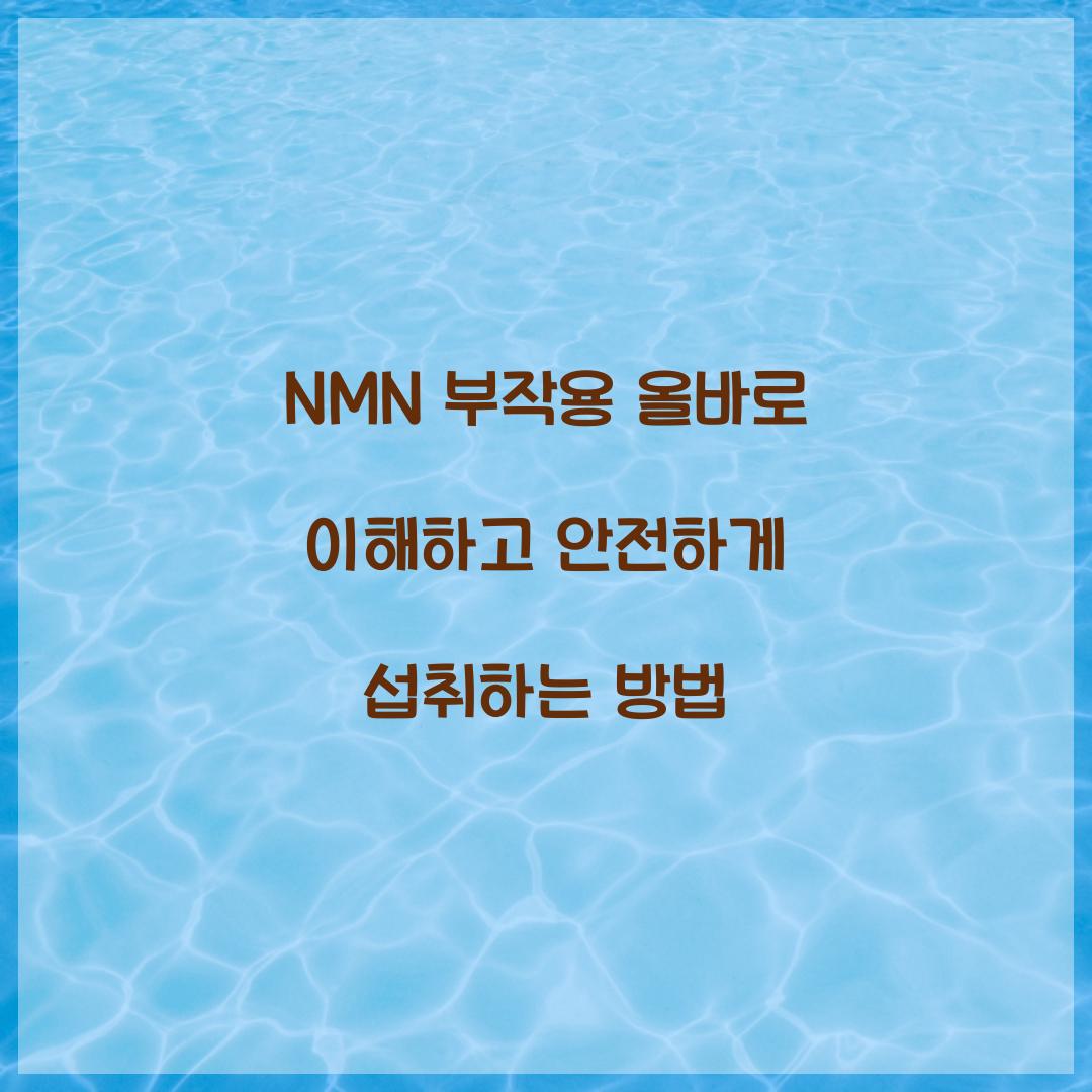 nmn 부작용