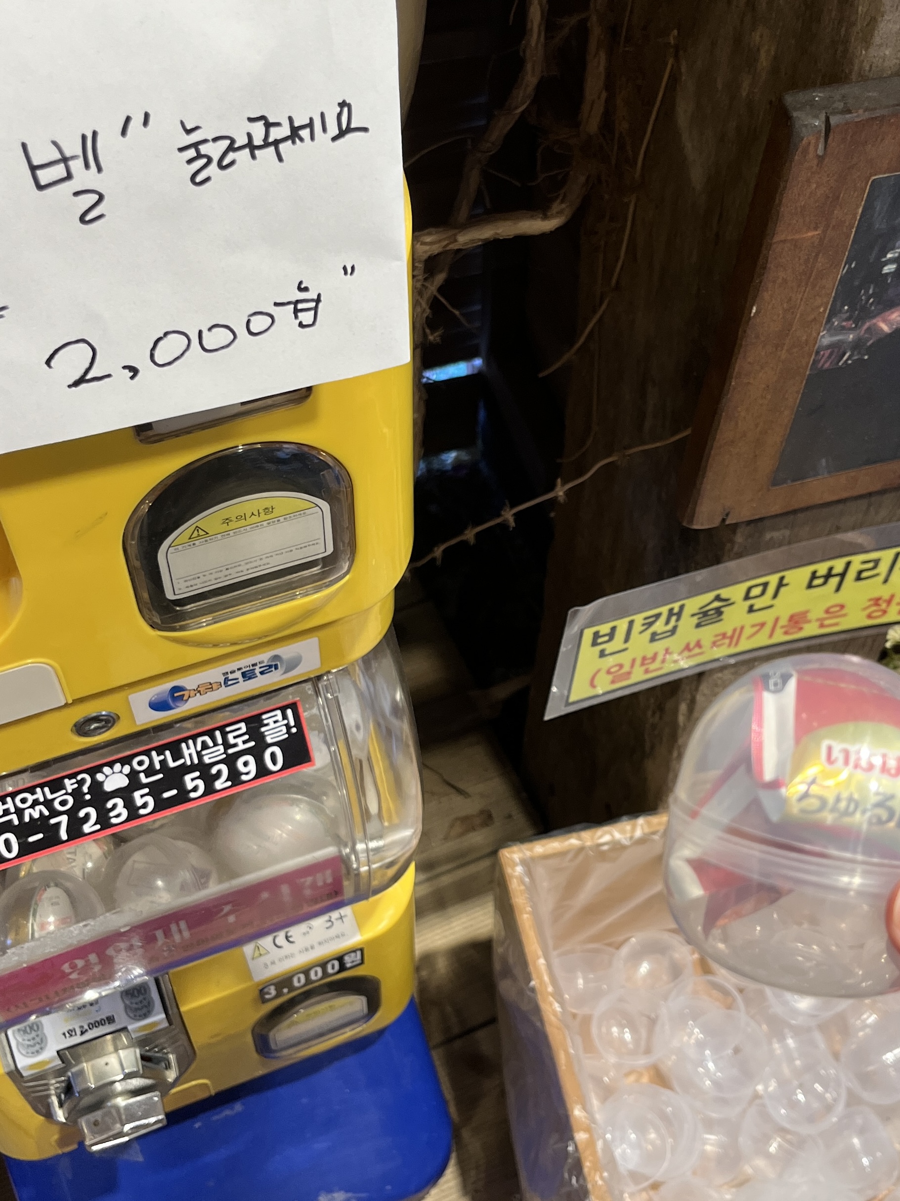 고양이역
