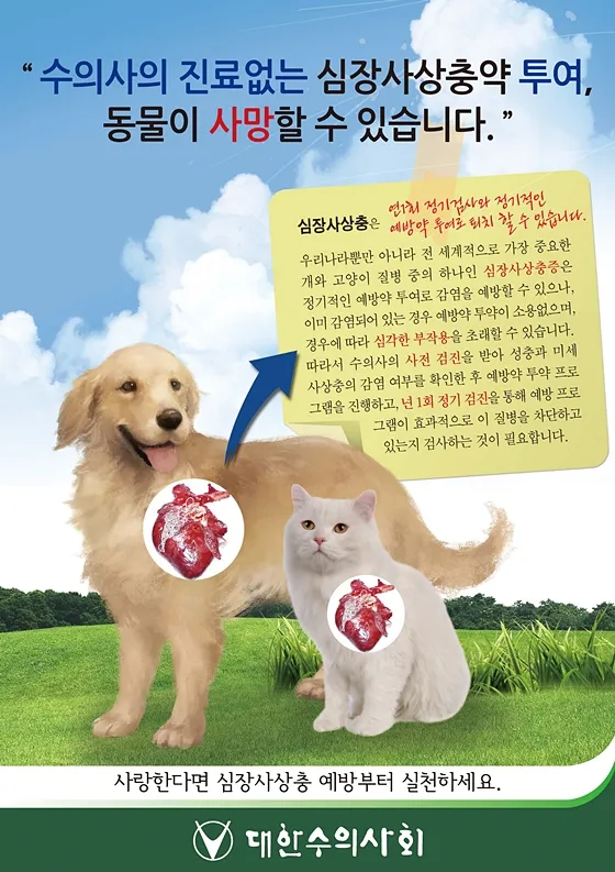 심장사상충약 복용 시기 가격 강아지 고양이 직구 부작용_9