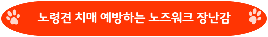 노령견 치매 예방하는 노즈워크 장난감