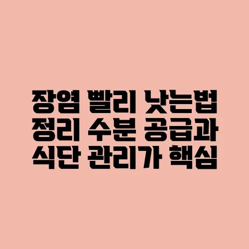 장염 빨리 낫는법 정리 수분 공급과 식단 관리가 핵심