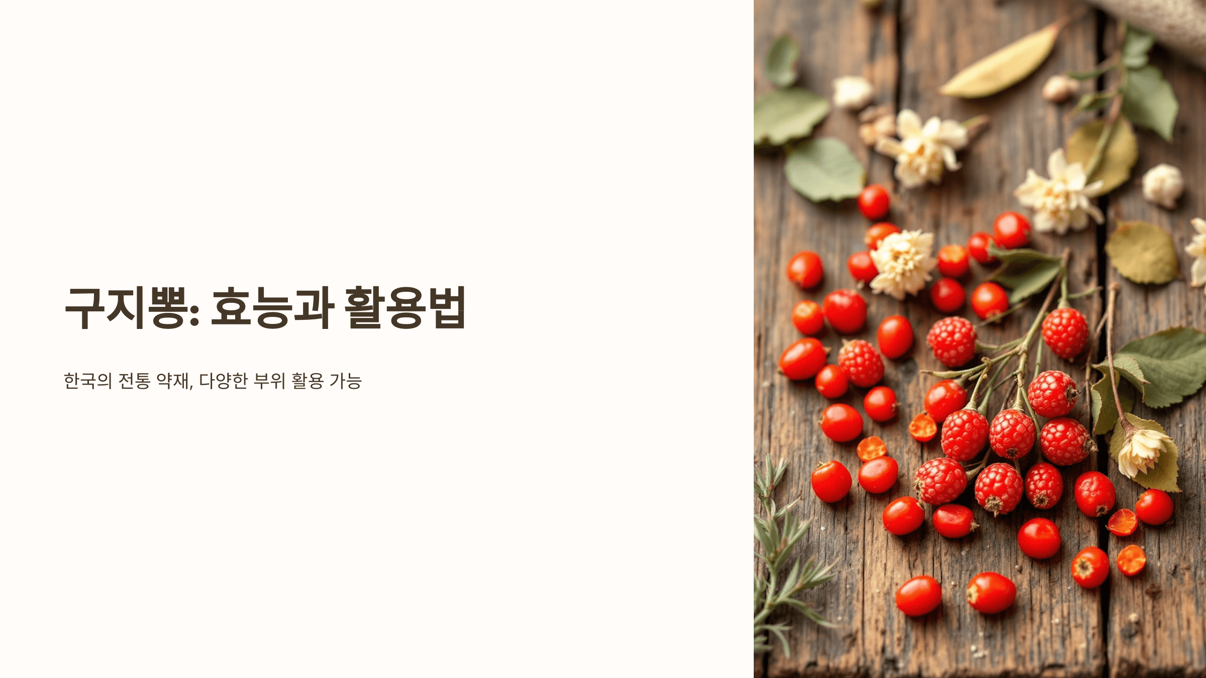 구지뽕 사진입니다.