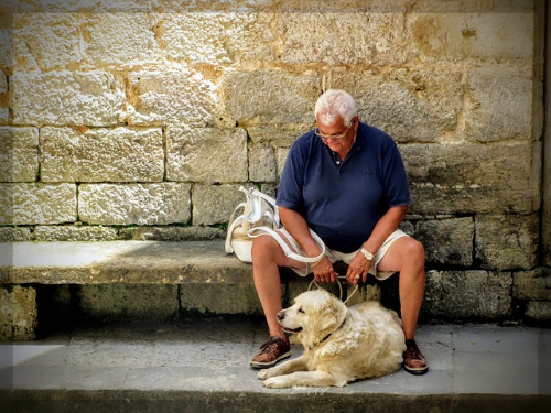 요양원 본인부담금 및 요양병원 본인부담금 (총정리) 2024