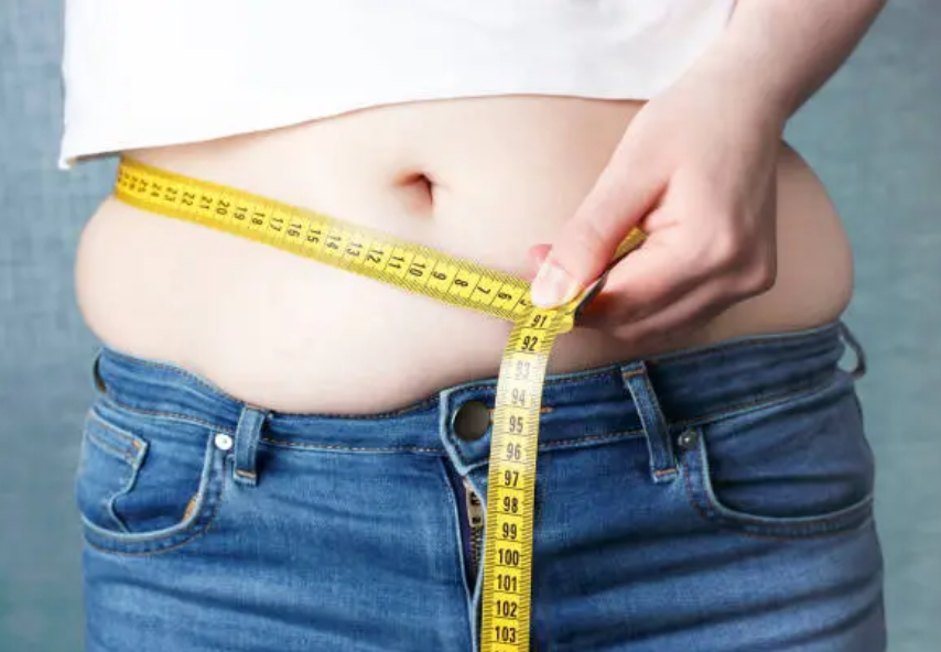 복부비만 탈출법 - 내장지방, 단백질식단, 근력운동