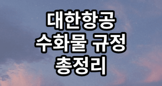 대한항공 수화물 정리