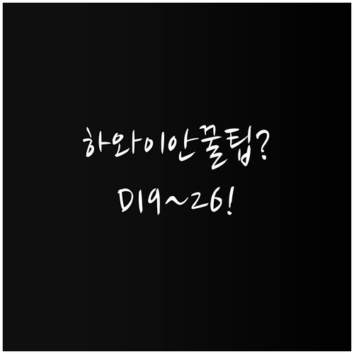 하와이안 항공 인천공항 제1터미널 D..