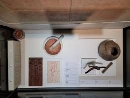 폐렴구균 예방접종 무료 대상 지원 대상 및 신청 방법 그리고 비용