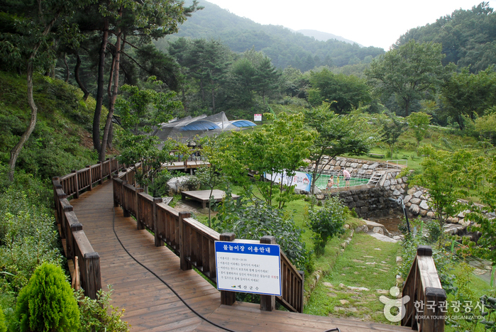 예산 가볼만한곳 베스트10