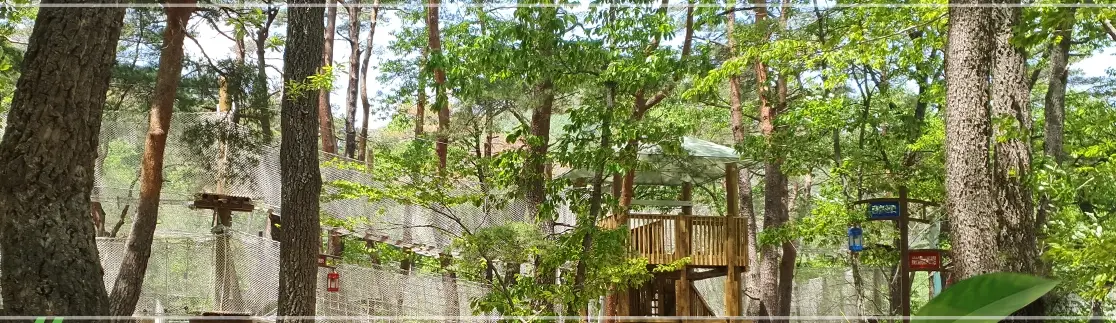 영덕-산성계곡-생태공원-어드벤처-예약-이용-요금