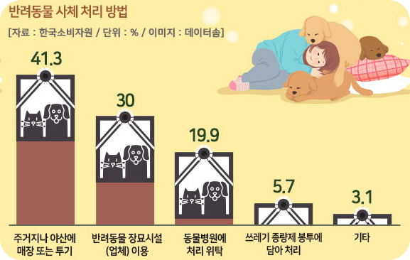 애완동물장례식비용3