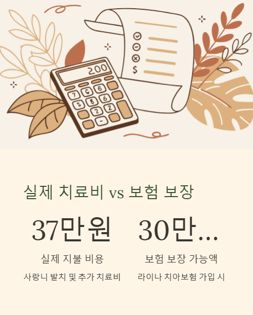 실제 치료비와 보장 보험