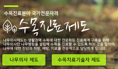 나무의사제도 이미지